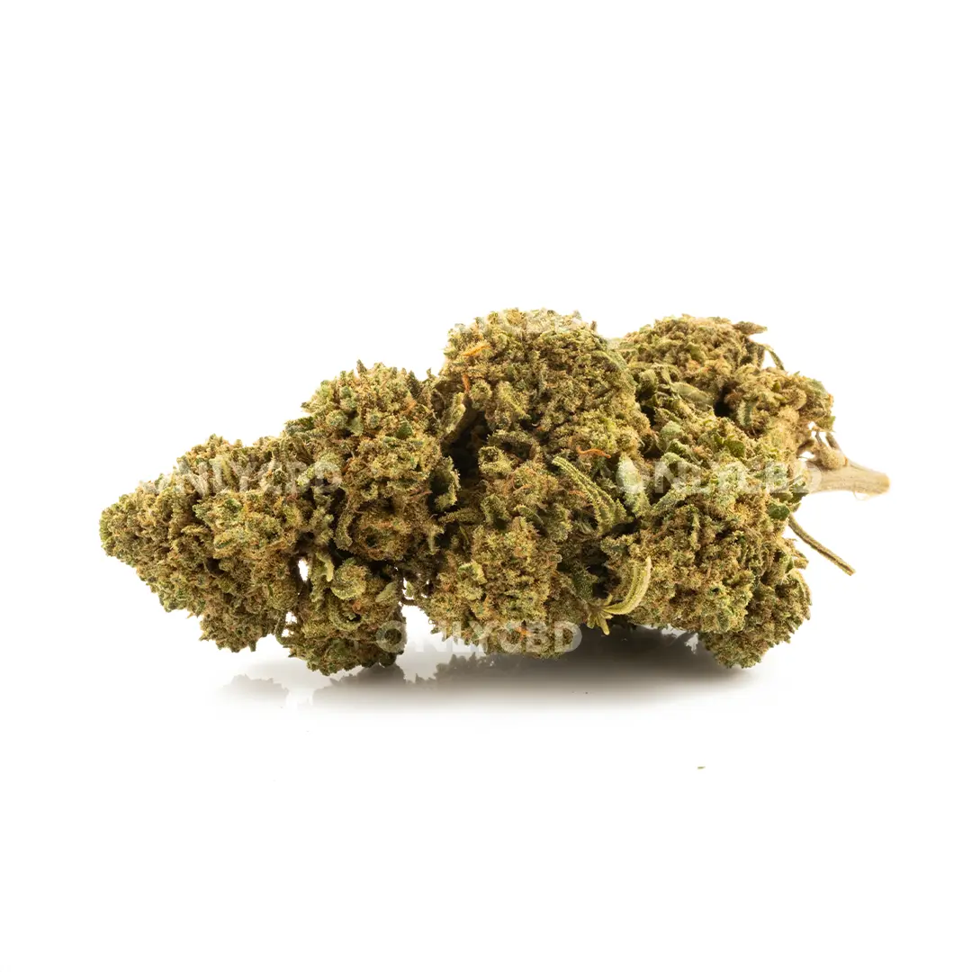 only cbd berry cream 3.5 gr. only cbd berry cream 3.5 gr.