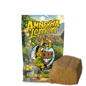 flying burrito amnesia lemon 2 gr