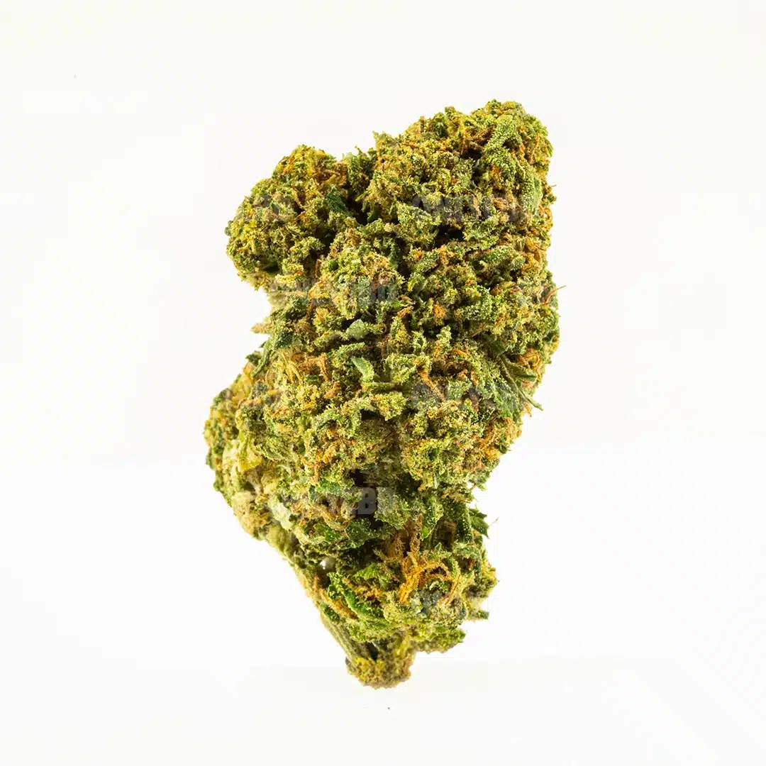 only cbd gelato 33 3.5 gr. only cbd gelato 33 3.5 gr.