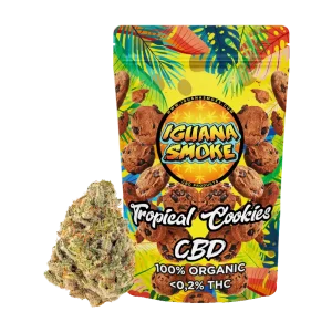 iguana smoke tropical cookies 2gr