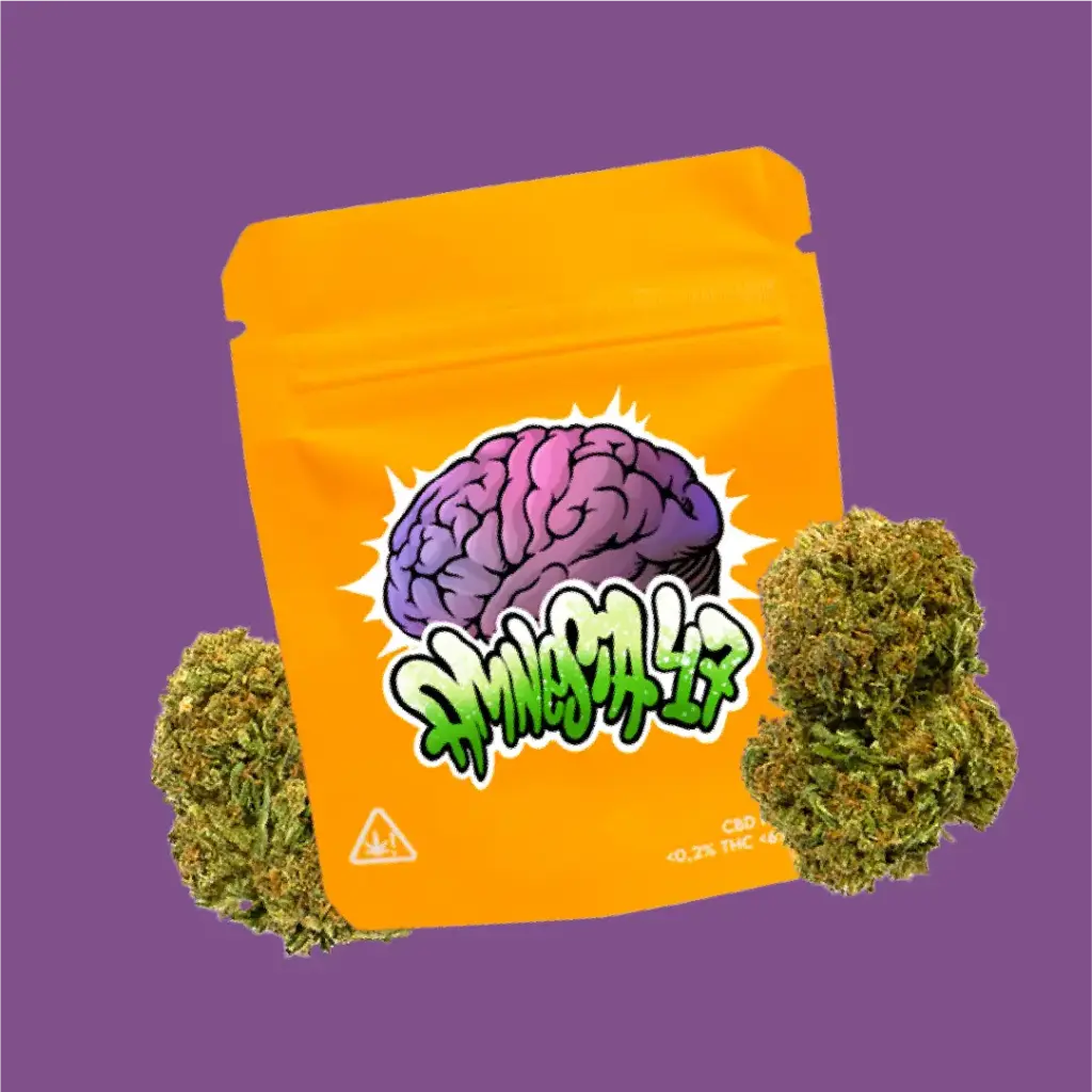 gorilla grillz amnesia 5 gr gorilla grillz amnesia 5 gr