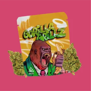 gorilla grillz gorilla grillz 2gr