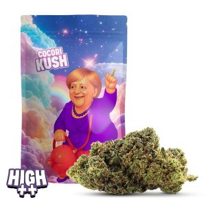 cocorikush hec 10 merkel cream 2.5gr