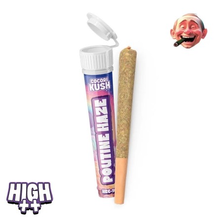 cocori kush prerolls hec 10 poutine haze cocori kush prerolls hec 10 poutine haze