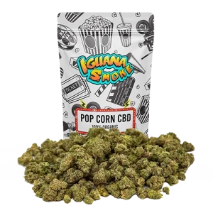 iguana smoke – pop corn sour tsunami cbd 25 g